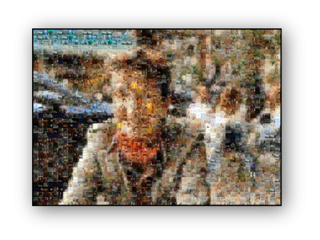 Photo Mosaic Affiche Fashion